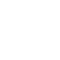 Network Security Monitoring Icon