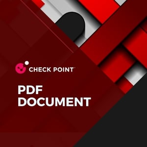 CISO-Check-Point-PDF-Document-Thumbnail