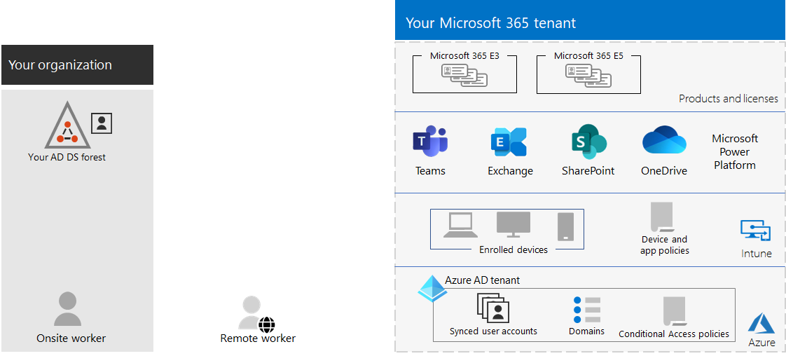 Microsoft 365 Tenant Overview