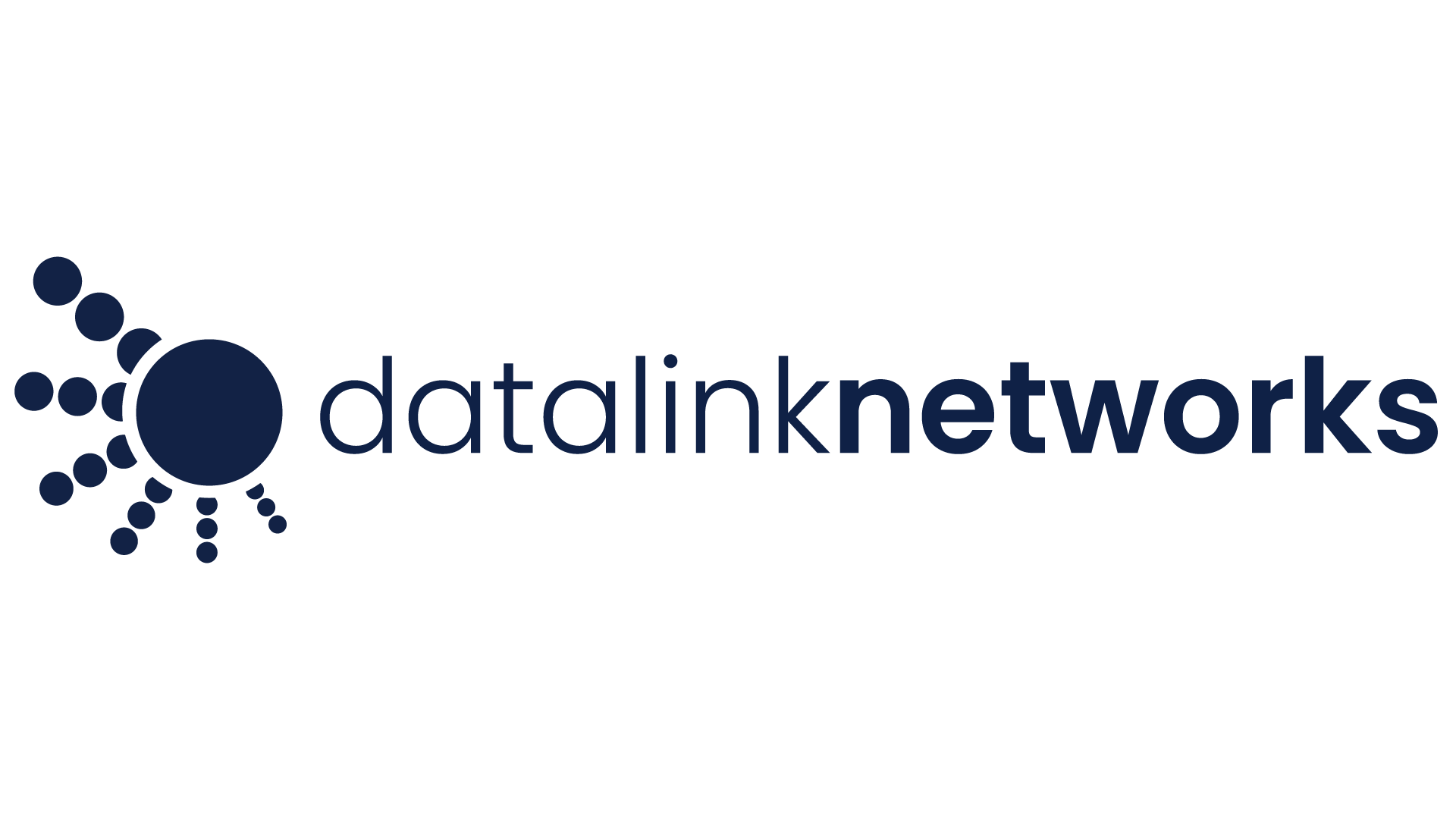 Datalink Networks Logo