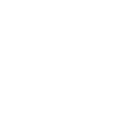 Security Risk Assessments Icon