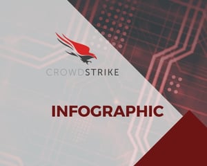 infographic crowdstrike