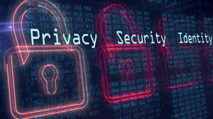 What is Information Security? - Cyber Security 101 Guide